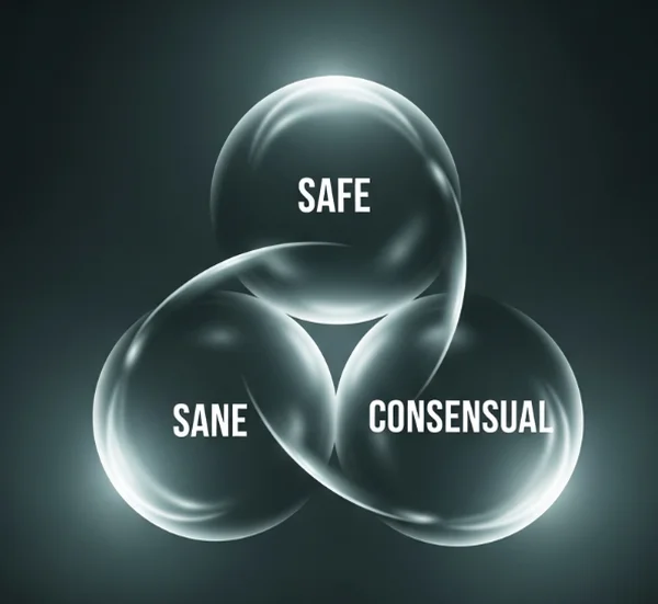 Three interconnected concepts representing SSC principles.