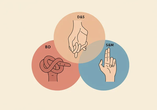Abstract illustration showing BDSM components.