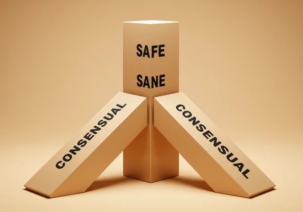 Three interconnected pillars representing SSC principles.